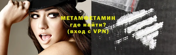 шишки Абаза