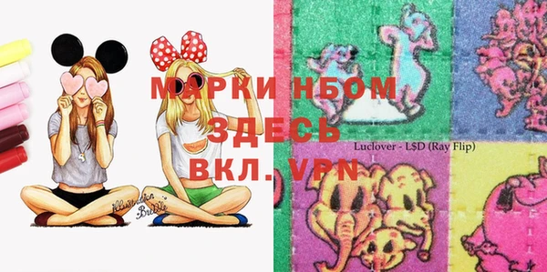 шишки Абаза