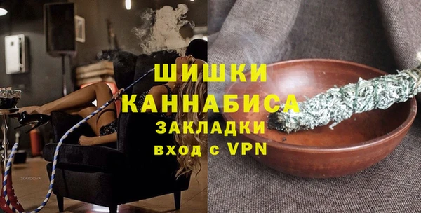 шишки Абаза