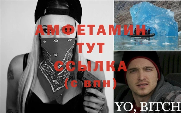 шишки Абаза