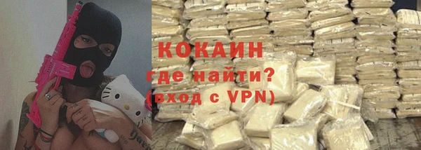 шишки Абаза